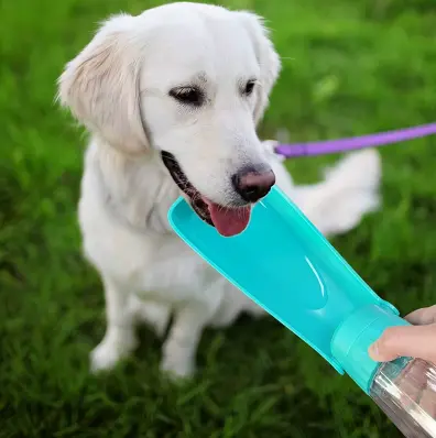 Gourde pour Chien – Hydratation facile, partout et à tout moment Chien