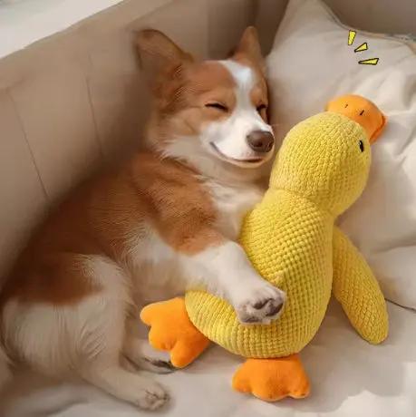 Peluche Canard – Un compagnon de jeu irrésistible et réconfortant Chien
